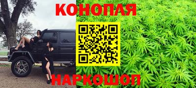 хмурый Шелехов