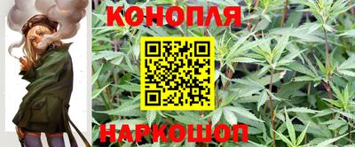 ГАЛЛЮЦИНОГЕННЫЕ ГРИБЫ Шебекино