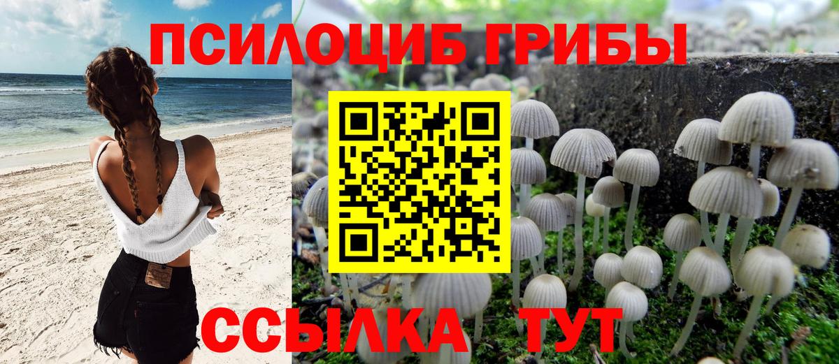 Псилоцибиновые грибы мицелий  Вход с VPN  Энгельс 