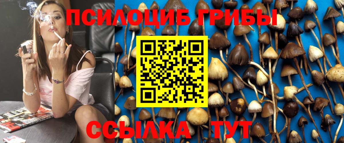Псилоцибиновые грибы GOLDEN TEACHER Энгельс